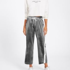 NEW Gray Velvet Jogger